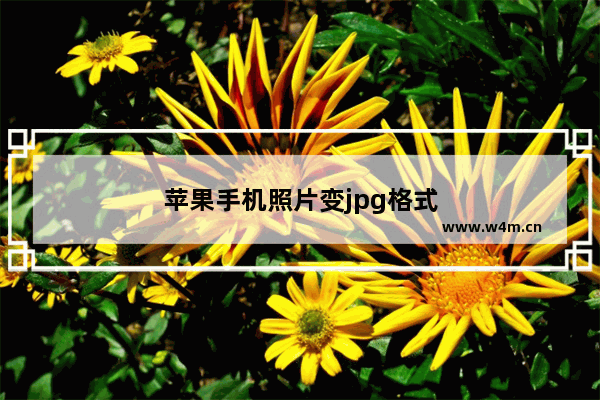 苹果手机照片变jpg格式