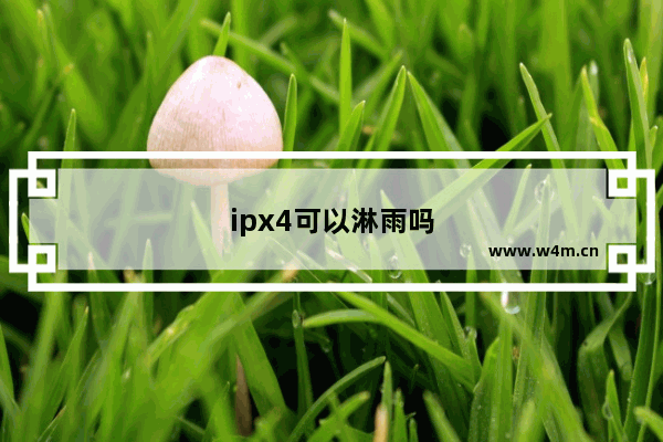 ipx4可以淋雨吗