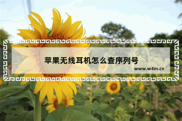 苹果无线耳机怎么查序列号