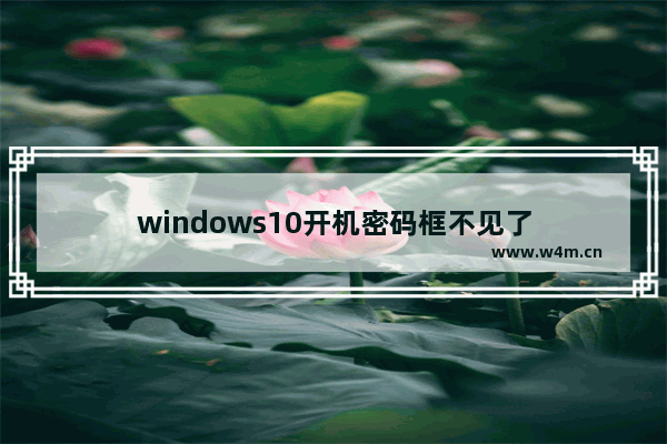 windows10开机密码框不见了