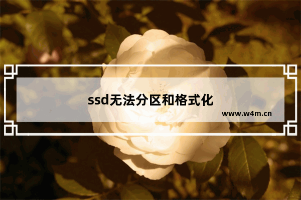 ssd无法分区和格式化