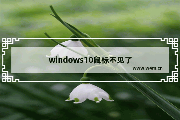 windows10鼠标不见了