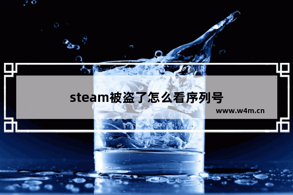 steam被盗了怎么看序列号