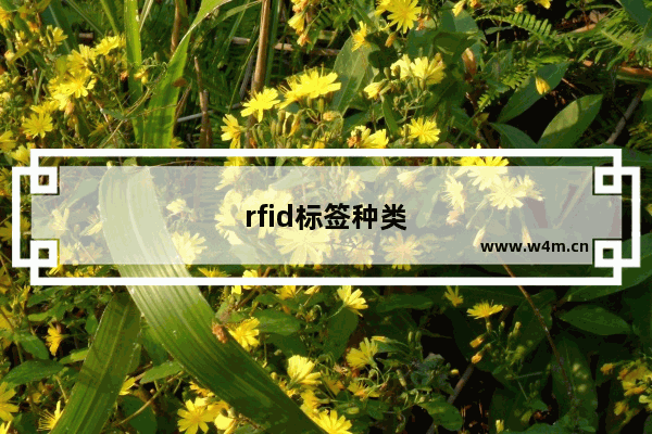 rfid标签种类