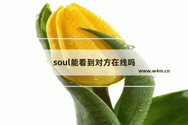 soul能看到对方在线吗