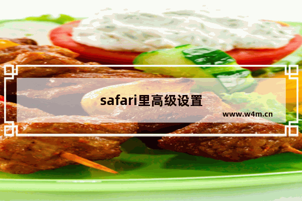 safari里高级设置