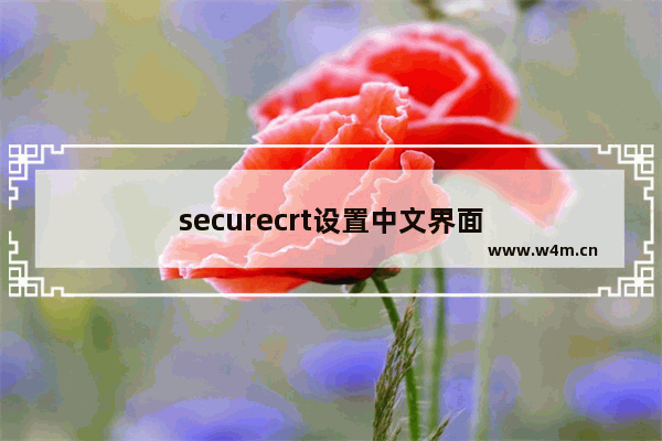 securecrt设置中文界面