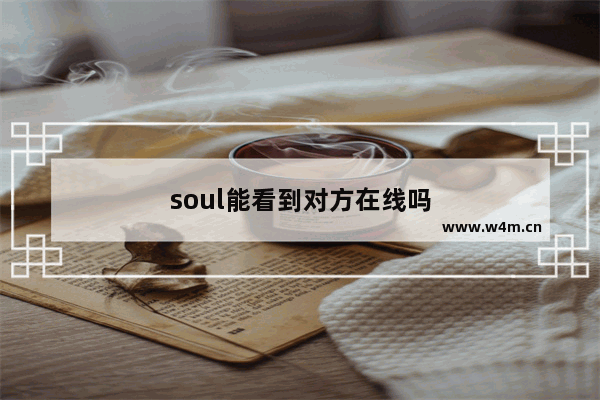 soul能看到对方在线吗