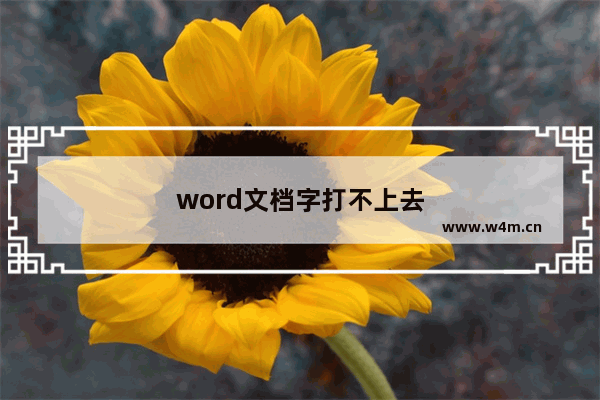 word文档字打不上去