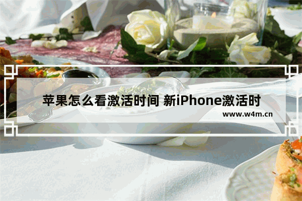 苹果怎么看激活时间 新iPhone激活时间查询