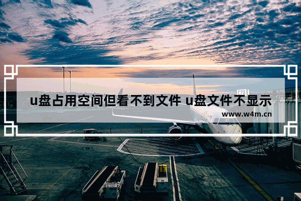 u盘占用空间但看不到文件 u盘文件不显示却占空间解决办法