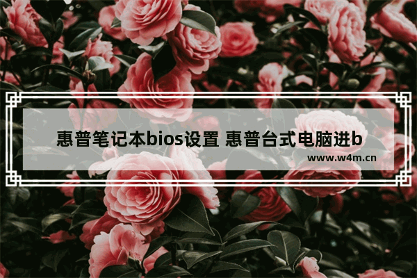 惠普笔记本bios设置 惠普台式电脑进bios的方法