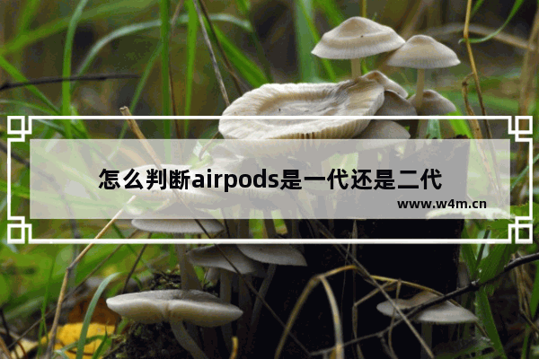 怎么判断airpods是一代还是二代