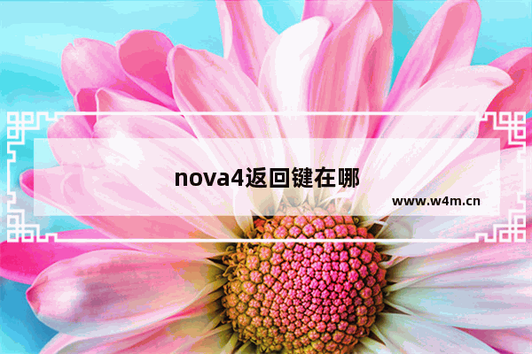 nova4返回键在哪