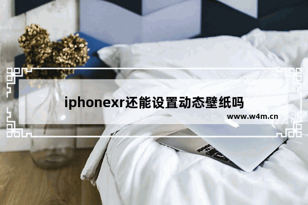 iphonexr还能设置动态壁纸吗