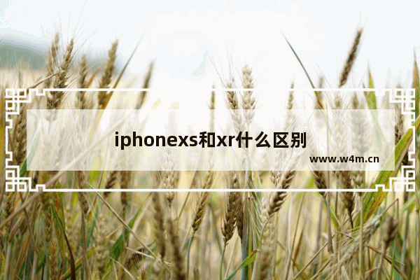 iphonexs和xr什么区别