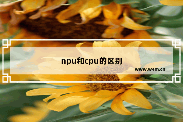 npu和cpu的区别