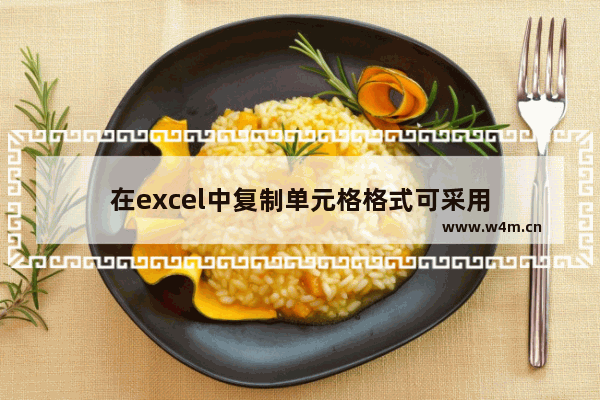 在excel中复制单元格格式可采用