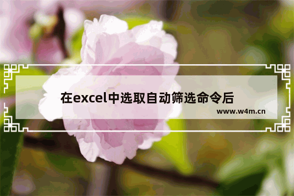 在excel中选取自动筛选命令后