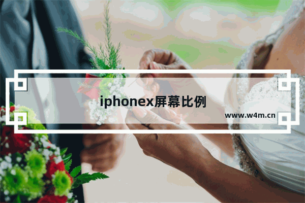 iphonex屏幕比例