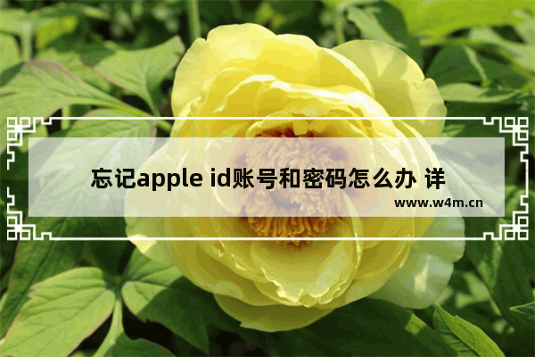 忘记apple id账号和密码怎么办 详细步骤带你找回