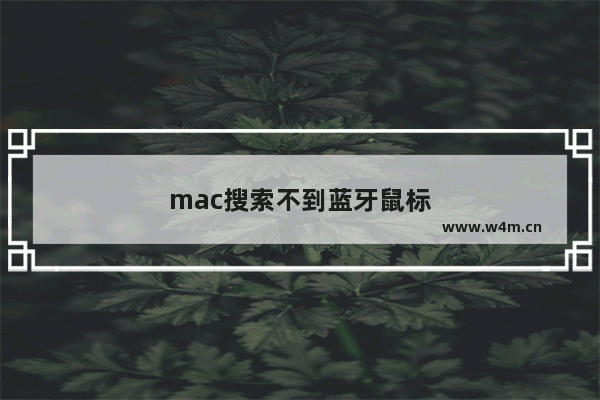 mac搜索不到蓝牙鼠标