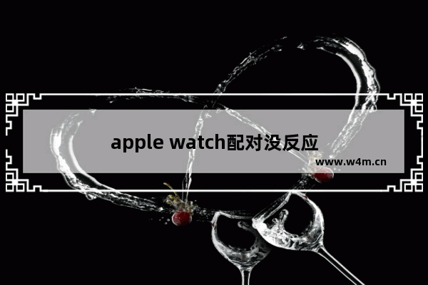 apple watch配对没反应