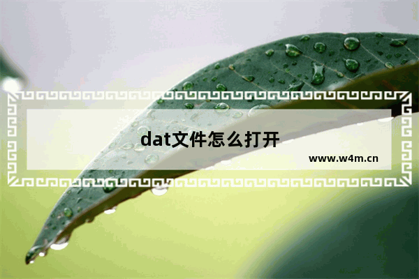 dat文件怎么打开