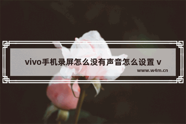 vivo手机录屏怎么没有声音怎么设置 vivo的最简单的录屏方法