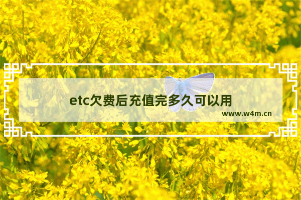 etc欠费后充值完多久可以用