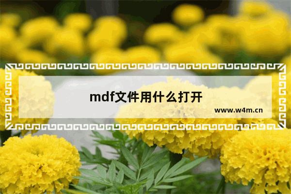 mdf文件用什么打开