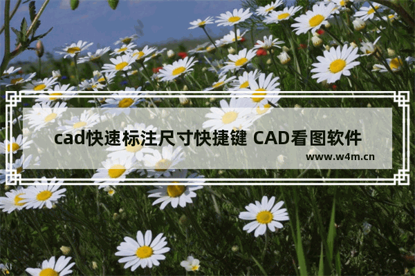 cad快速标注尺寸快捷键 CAD看图软件标注教程