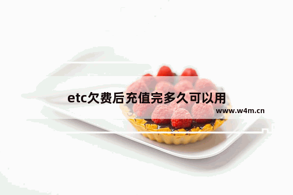 etc欠费后充值完多久可以用