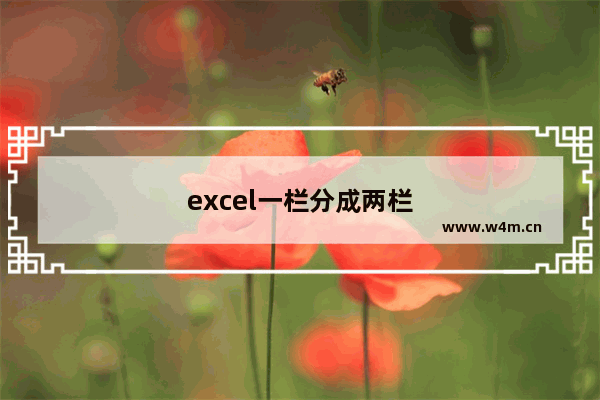 excel一栏分成两栏