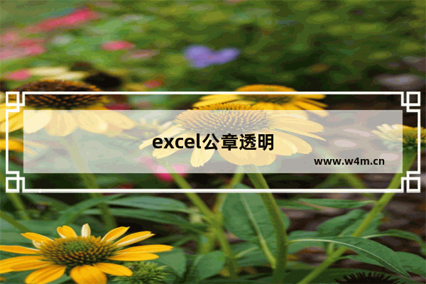 excel公章透明