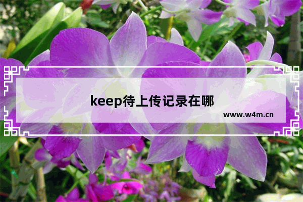 keep待上传记录在哪