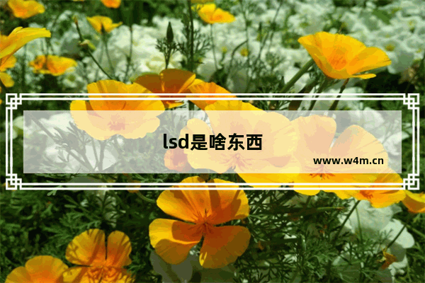 lsd是啥东西