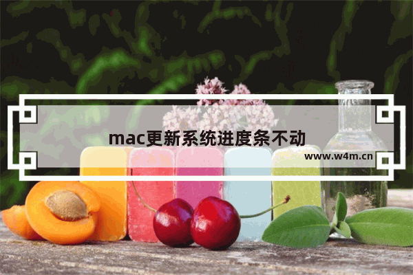 mac更新系统进度条不动