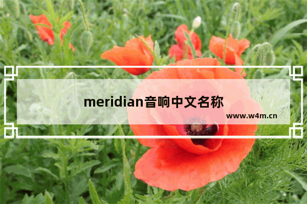 meridian音响中文名称