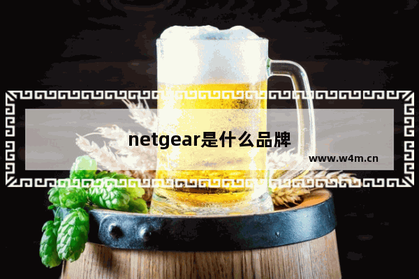 netgear是什么品牌