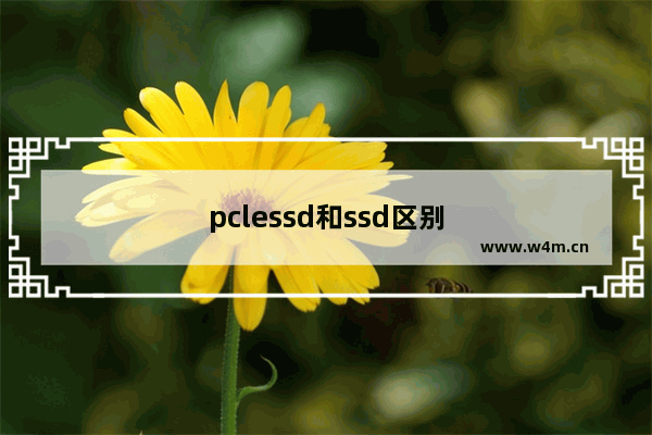 pclessd和ssd区别