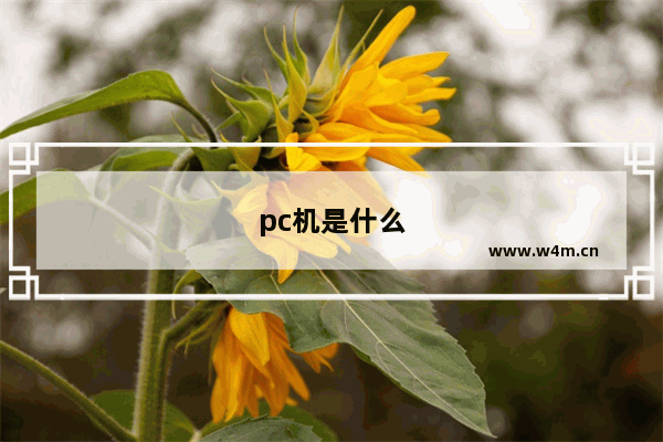 pc机是什么