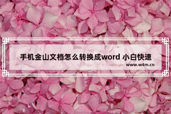 手机金山文档怎么转换成word 小白快速掌握常用的办公表格