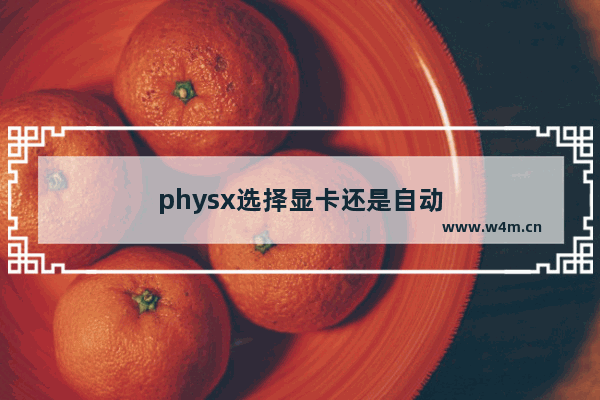 physx选择显卡还是自动