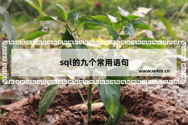 sql的九个常用语句