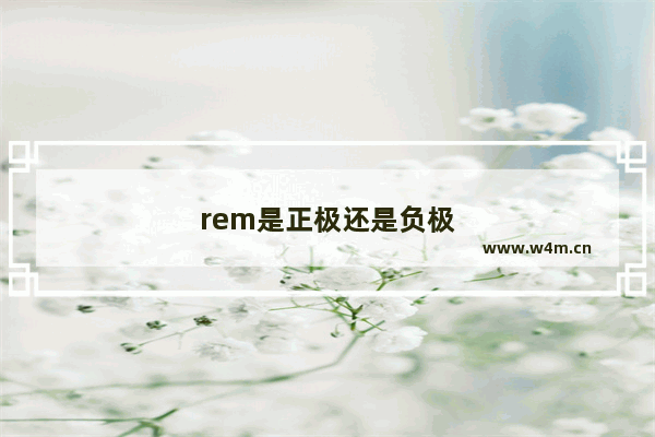 rem是正极还是负极