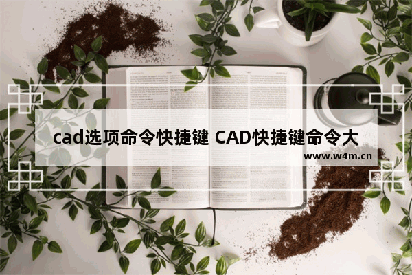 cad选项命令快捷键 CAD快捷键命令大全汇总