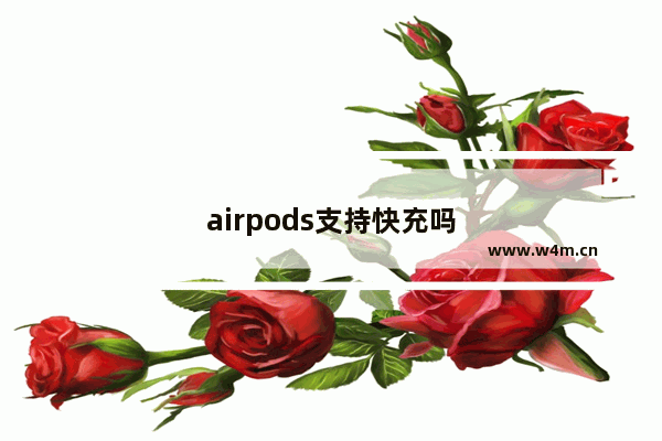 airpods支持快充吗