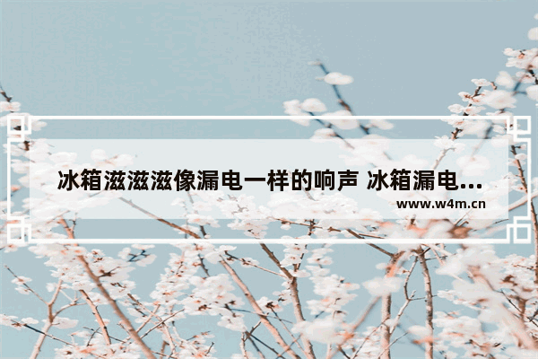 冰箱滋滋滋像漏电一样的响声 冰箱漏电的原因及解决办法