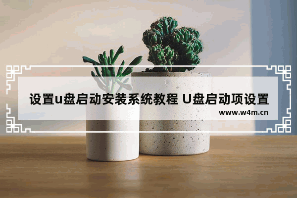 设置u盘启动安装系统教程 U盘启动项设置方法你知道吗